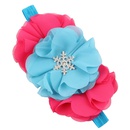 Cloth Fashion Flowers Hair accessories  1  Fashion Jewelry NHWO09991picture9