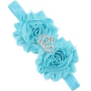 Cloth Fashion Flowers Hair accessories  1  Fashion Jewelry NHWO09991picture10