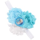 Cloth Fashion Flowers Hair accessories  1  Fashion Jewelry NHWO09991picture12