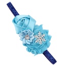 Cloth Fashion Flowers Hair accessories  1  Fashion Jewelry NHWO09991picture11