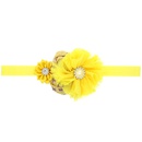 Cloth Fashion Flowers Hair accessories  yellow  Fashion Jewelry NHWO1000yellowpicture1