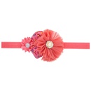 Cloth Fashion Flowers Hair accessories  yellow  Fashion Jewelry NHWO1000yellowpicture10