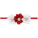 Cloth Fashion Flowers Hair accessories  white  Fashion Jewelry NHWO1016whitepicture5
