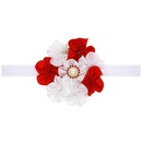 Cloth Fashion Flowers Hair accessories  red  Fashion Jewelry NHWO1027redpicture1