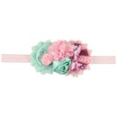 Cloth Fashion Flowers Hair accessories  1  Fashion Jewelry NHWO10691picture4