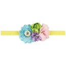 Cloth Fashion Flowers Hair accessories  1  Fashion Jewelry NHWO10691picture6