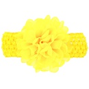 Cloth Fashion Flowers Hair accessories  red  Fashion Jewelry NHWO1098redpicture2