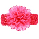 Cloth Fashion Flowers Hair accessories  red  Fashion Jewelry NHWO1098redpicture10