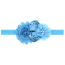 Cloth Fashion Flowers Hair accessories  red  Fashion Jewelry NHWO1130redpicture3