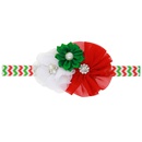 Cloth Fashion Flowers Hair accessories  SD0331  Fashion Jewelry NHWO1131SD0331picture2