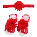 Cloth Fashion Flowers Hair accessories  red  Fashion Jewelry NHWO1144redpicture10