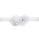 Cloth Fashion Flowers Hair accessories  white  Fashion Jewelry NHWO1149whitepicture1
