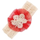 Cloth Fashion Flowers Hair accessories  red  Fashion Jewelry NHWO1150redpicture1