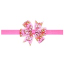 Alloy Fashion Bows Hair accessories  number 1  Fashion Jewelry NHWO1151number1picture8