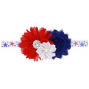 Cloth Fashion Flowers Hair accessories  H1421  Fashion Jewelry NHWO1154H1421picture3