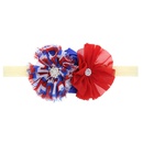 Cloth Fashion Flowers Hair accessories  H1421  Fashion Jewelry NHWO1154H1421picture7