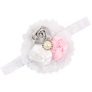 Cloth Korea Flowers Hair accessories  1  Fashion Jewelry NHWO11621picture6