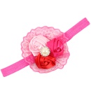 Cloth Korea Flowers Hair accessories  1  Fashion Jewelry NHWO11621picture7