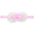 Cloth Fashion Flowers Hair accessories  Pink  Fashion Jewelry NHWO0799Pinkpicture3