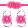 Cloth Fashion Flowers Hair accessories  red  Fashion Jewelry NHWO0801redpicture39