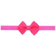 Alloy Fashion Flowers Hair accessories  Large pink  Fashion Jewelry NHWO0830Largepinkpicture22