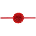 Cloth Fashion Flowers Hair accessories  red  Fashion Jewelry NHWO0837redpicture27