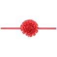 Cloth Fashion Flowers Hair accessories  red  Fashion Jewelry NHWO0837redpicture37
