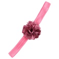 Cloth Fashion Flowers Hair accessories  red  Fashion Jewelry NHWO0840redpicture45