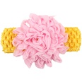 Cloth Fashion Flowers Hair accessories  1  Fashion Jewelry NHWO08661picture21