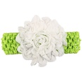 Cloth Fashion Flowers Hair accessories  1  Fashion Jewelry NHWO08661picture22