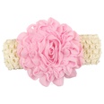 Cloth Fashion Flowers Hair accessories  1  Fashion Jewelry NHWO08661picture23