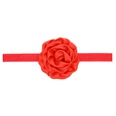 Cloth Fashion Flowers Hair accessories  red  Fashion Jewelry NHWO0872redpicture25