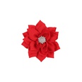 Cloth Fashion Flowers Hair accessories  red  Fashion Jewelry NHWO0875redpicture27