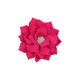 Cloth Fashion Flowers Hair accessories  red  Fashion Jewelry NHWO0875redpicture32