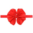 Cloth Fashion Flowers Hair accessories  red  Fashion Jewelry NHWO0881redpicture23