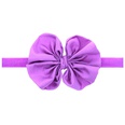 Cloth Fashion Flowers Hair accessories  red  Fashion Jewelry NHWO0881redpicture26