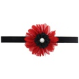 Cloth Fashion Flowers Hair accessories  red  Fashion Jewelry NHWO0894redpicture3