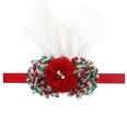 Cloth Fashion Flowers Hair accessories  SD0371  Fashion Jewelry NHWO0895SD0371picture5