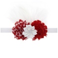 Cloth Fashion Flowers Hair accessories  SD0371  Fashion Jewelry NHWO0895SD0371picture6