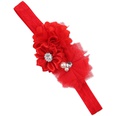 Cloth Fashion Flowers Hair accessories  SD0441  Fashion Jewelry NHWO0896SD0441picture14