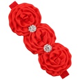 Cloth Fashion Flowers Hair accessories  SD0441  Fashion Jewelry NHWO0896SD0441picture15
