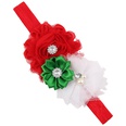 Cloth Fashion Flowers Hair accessories  SD0441  Fashion Jewelry NHWO0896SD0441picture16