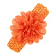 Cloth Fashion Flowers Hair accessories  red  Fashion Jewelry NHWO0898redpicture32
