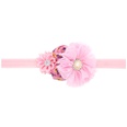 Cloth Fashion Flowers Hair accessories  yellow  Fashion Jewelry NHWO1000yellowpicture28