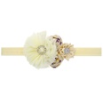 Cloth Fashion Flowers Hair accessories  yellow  Fashion Jewelry NHWO1000yellowpicture29