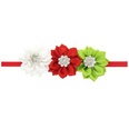 Cloth Fashion Flowers Hair accessories  white  Fashion Jewelry NHWO1016whitepicture14
