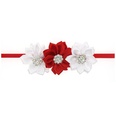 Cloth Fashion Flowers Hair accessories  white  Fashion Jewelry NHWO1016whitepicture15