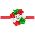 Cloth Fashion Flowers Hair accessories  red  Fashion Jewelry NHWO1027redpicture11