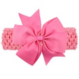 Cloth Fashion Flowers Hair accessories  red  Fashion Jewelry NHWO1054redpicture54