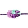 Cloth Fashion Flowers Hair accessories  1  Fashion Jewelry NHWO10691picture19